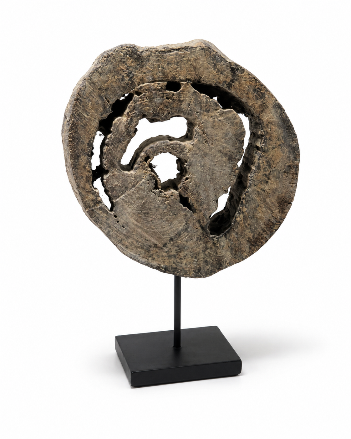 Sculpture décorative ORIGINE en bois fossilisé sur socle Homa Home